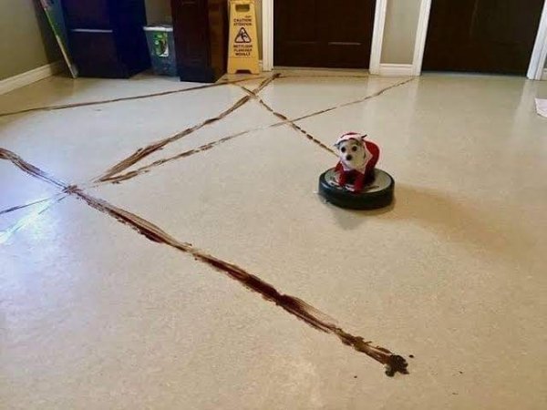 rommba-fail.jpg