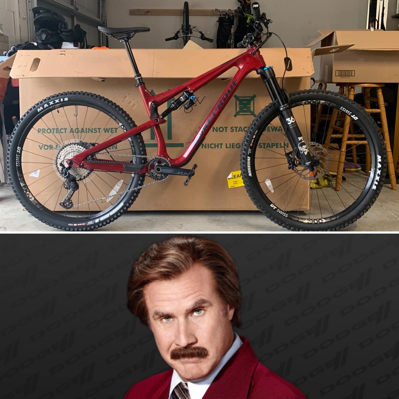 RonBurgundy.jpg