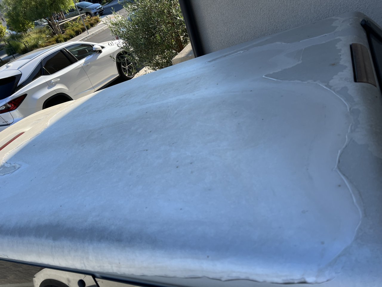 Roof.jpg