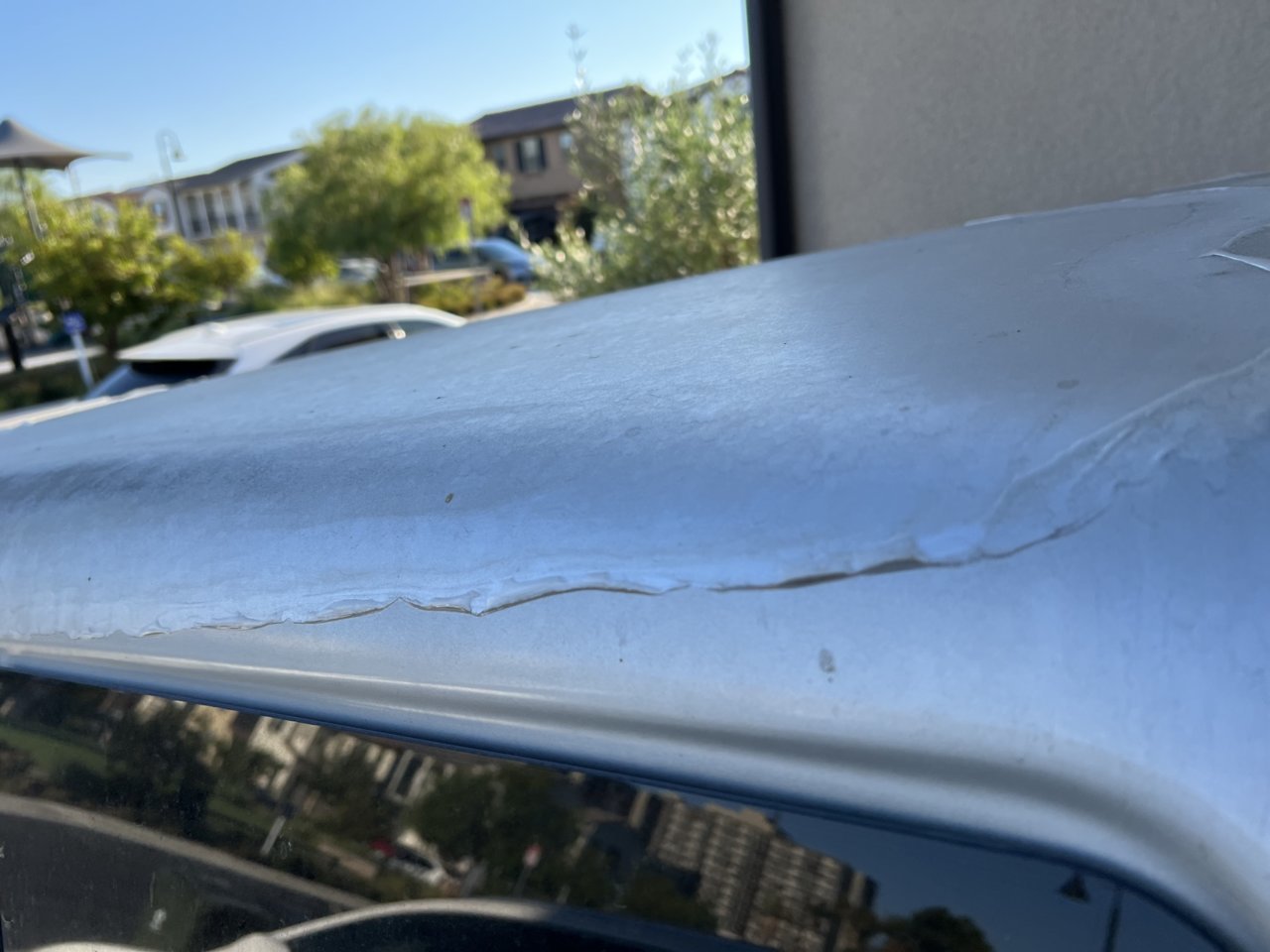 Roof2.jpg