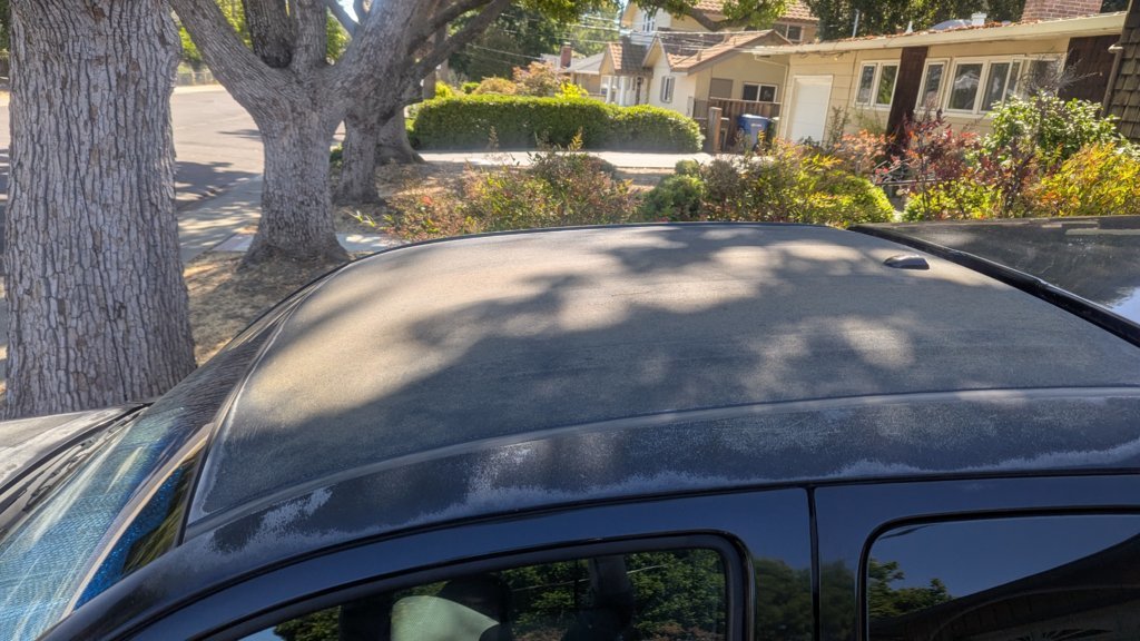 Roof2.jpg
