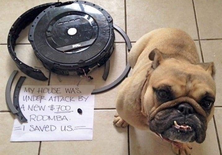 roomba-save.jpg