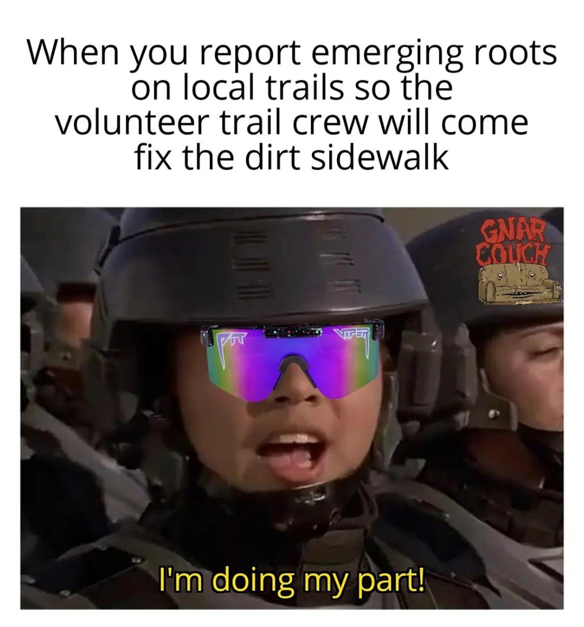 roots.jpg