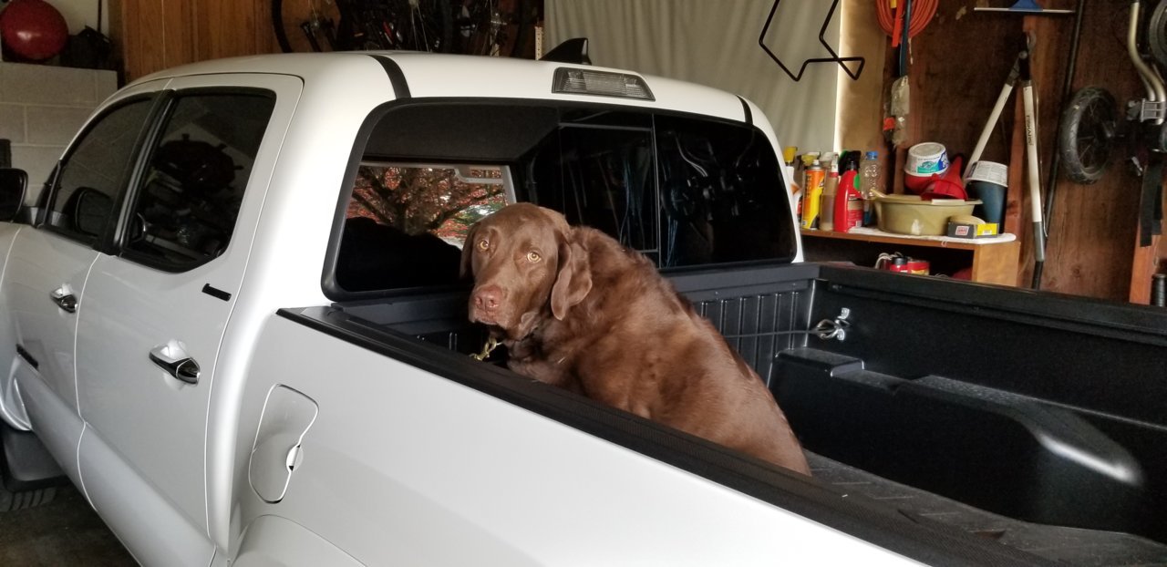 roscoe.jpg