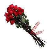 Roses.jpg