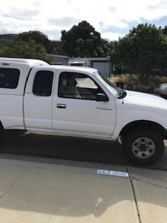 Rosie_In Truck.jpg