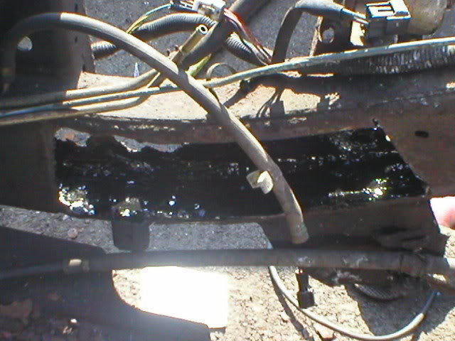 rot_4fee10316f516a4d7489d7f220899349570355bc.jpg