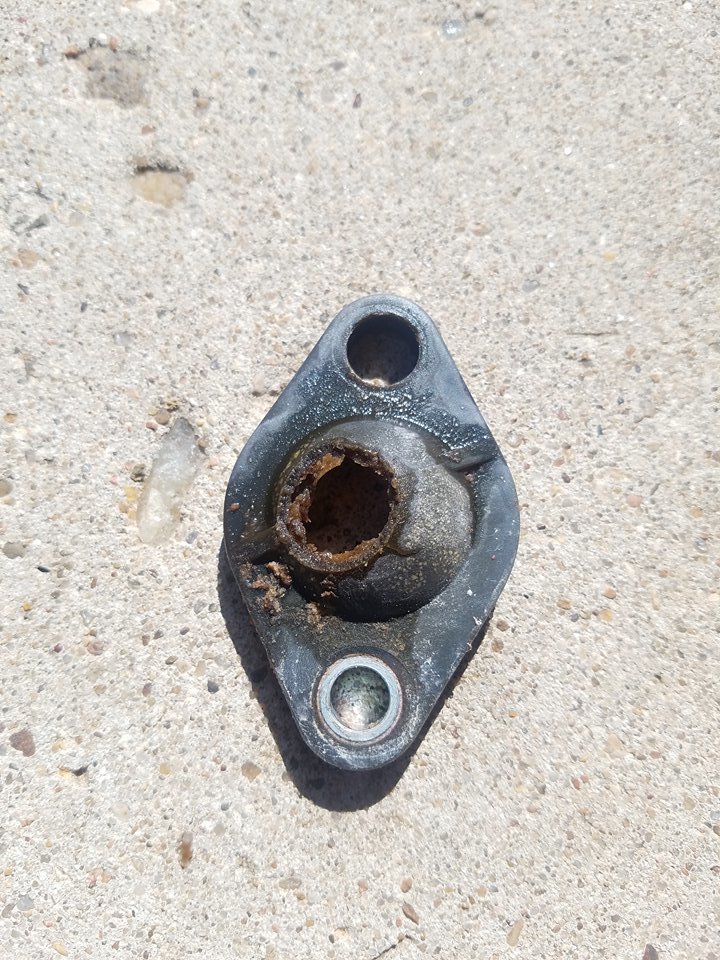 rotting bypass piece.jpg