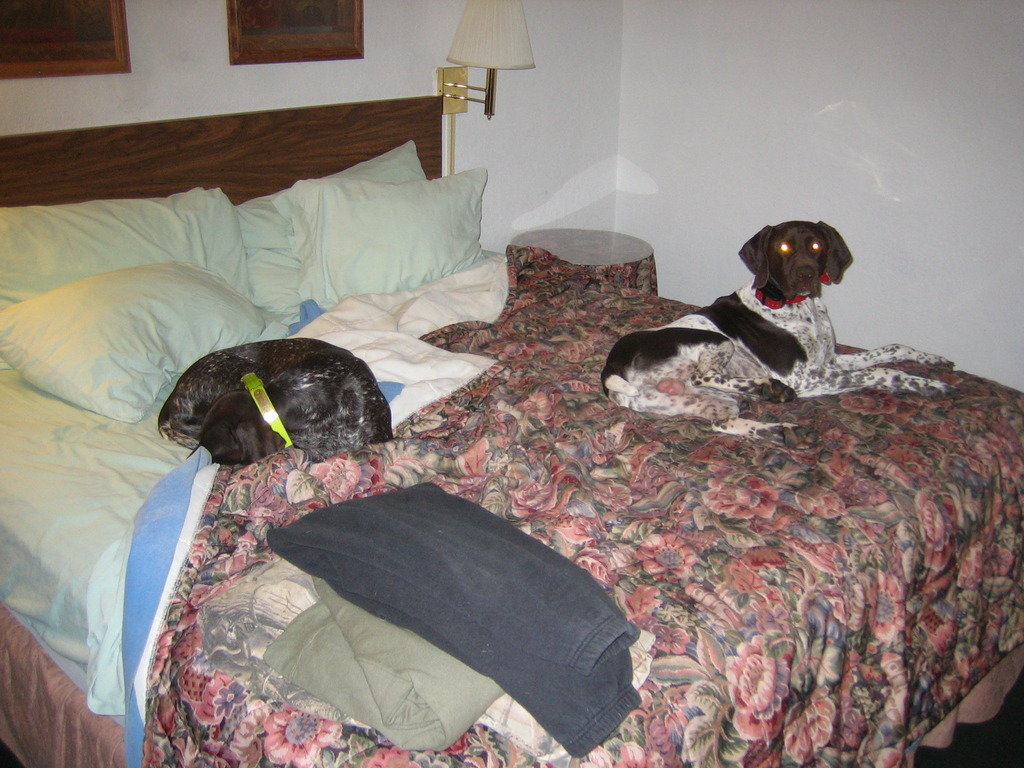 Roughing%20it_zps65ph6a3w_2cade1a165dc1c1205ddf83975392cf6e40147f2.jpg