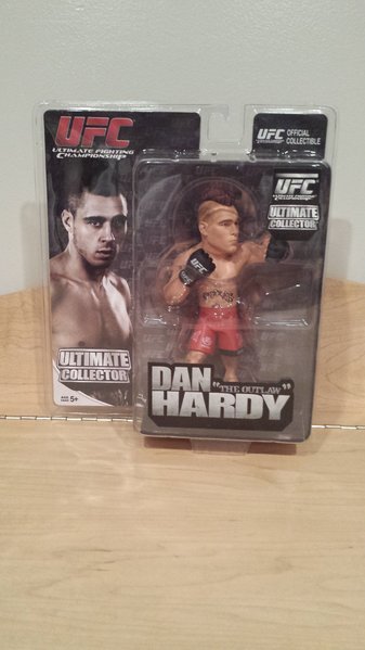 Round 5 Dan Hardy.jpg