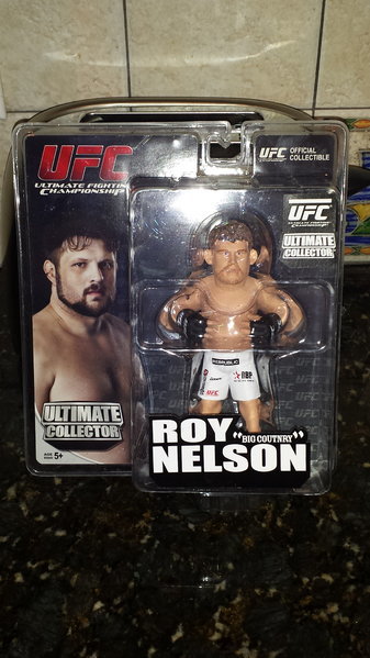 Round 5 Roy Nelson.jpg