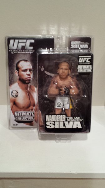 Round 5 Wanderlei Silva.jpg
