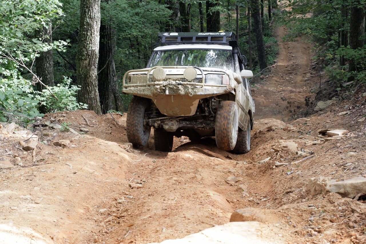 rover.jpg