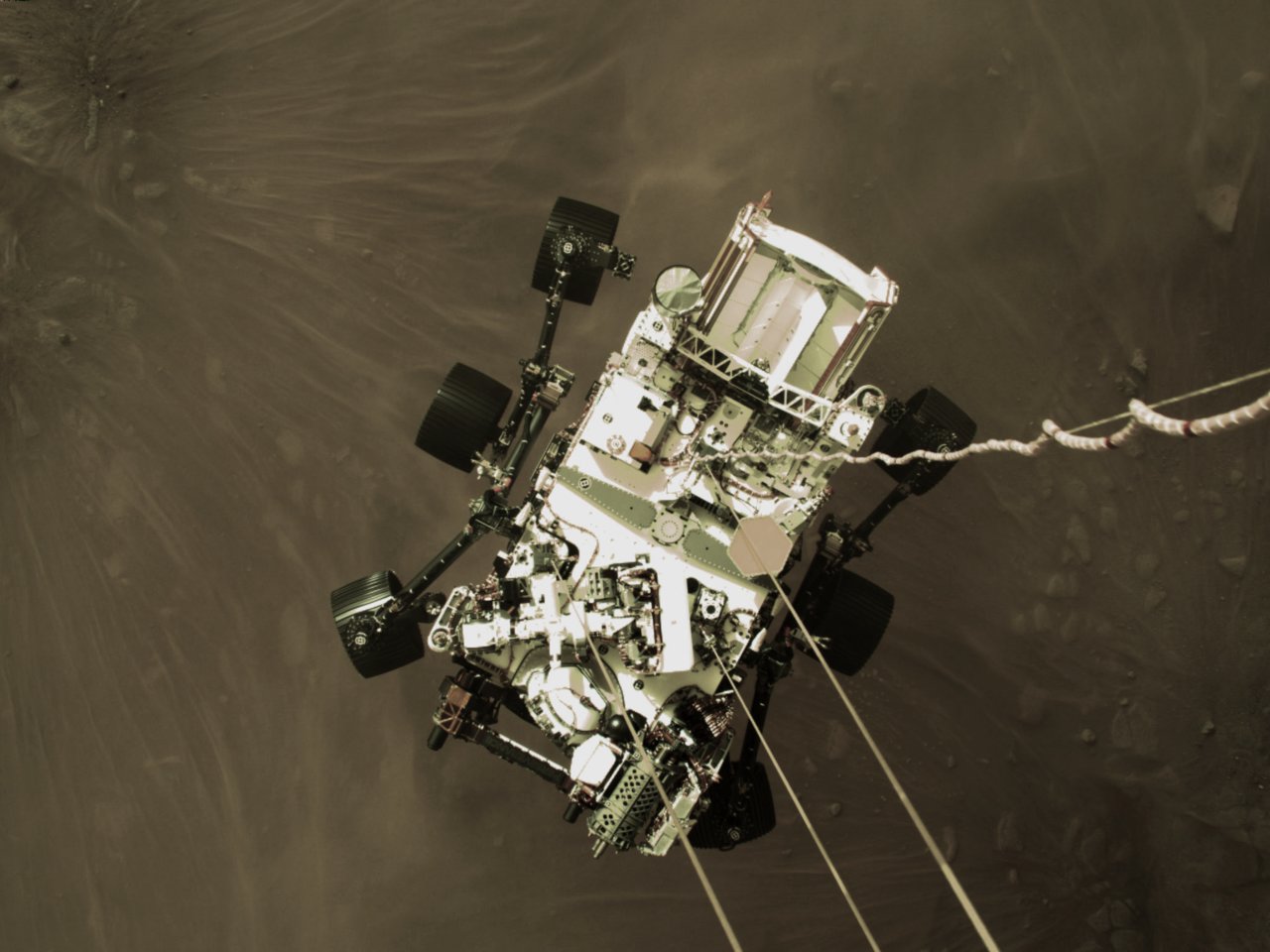 rover.jpg