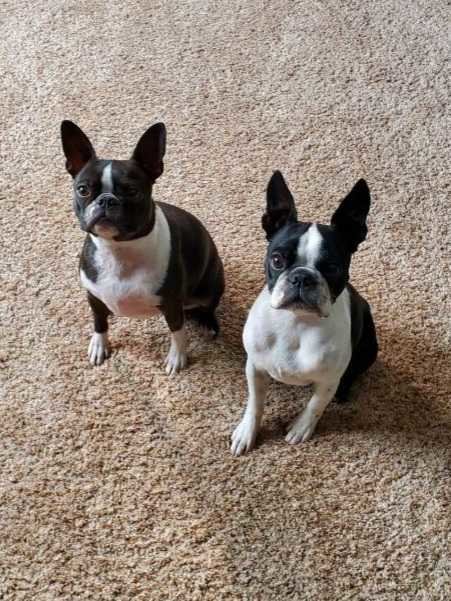 Roxy and Ronan.jpg