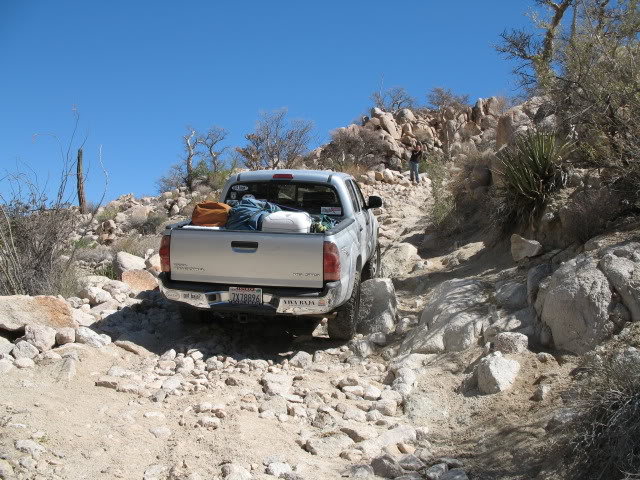 RoyMSM070_4cc5717789e235c8bb7e62c4173885d56a93eca7.jpg