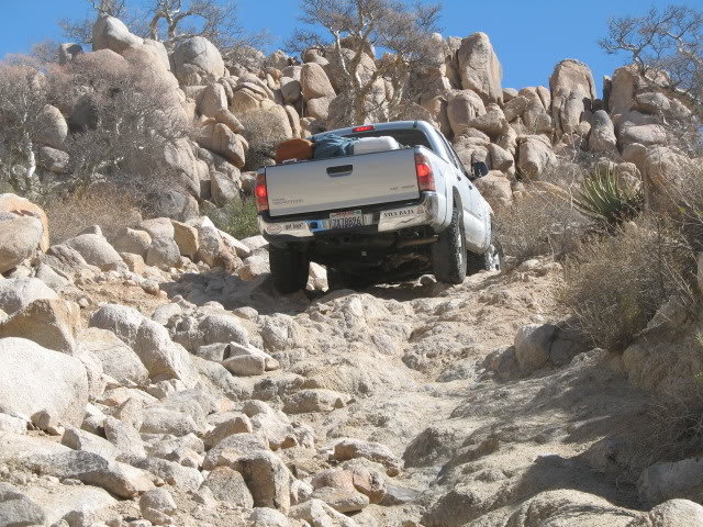 RoyMSM072_44e30192966659c5b9be4cab5c0f1c7ba59ba6ae.jpg