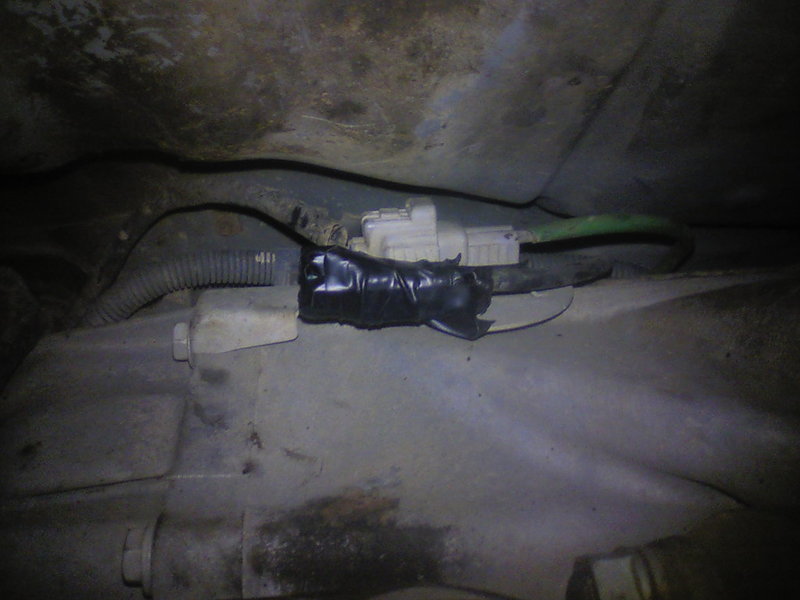 rplug.jpg