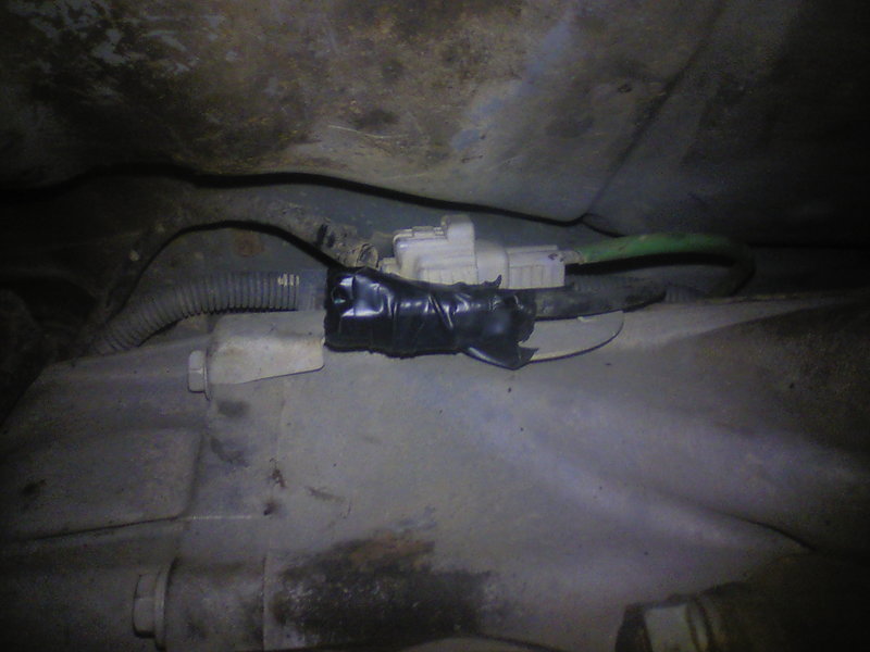 rplug.jpg