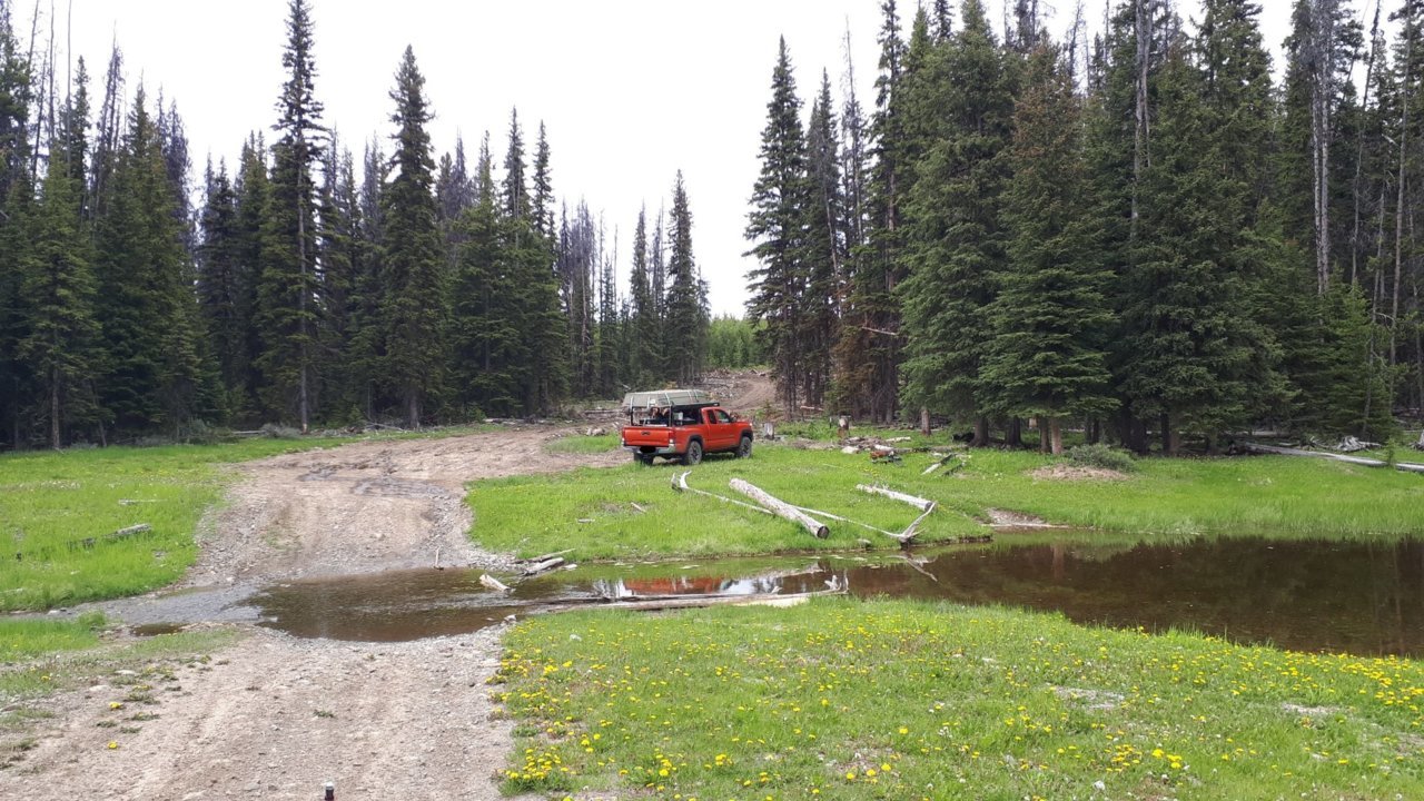 RS104116.jpg