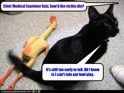 rubber chicken3.jpg