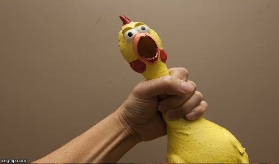 rubber chicken5.jpg