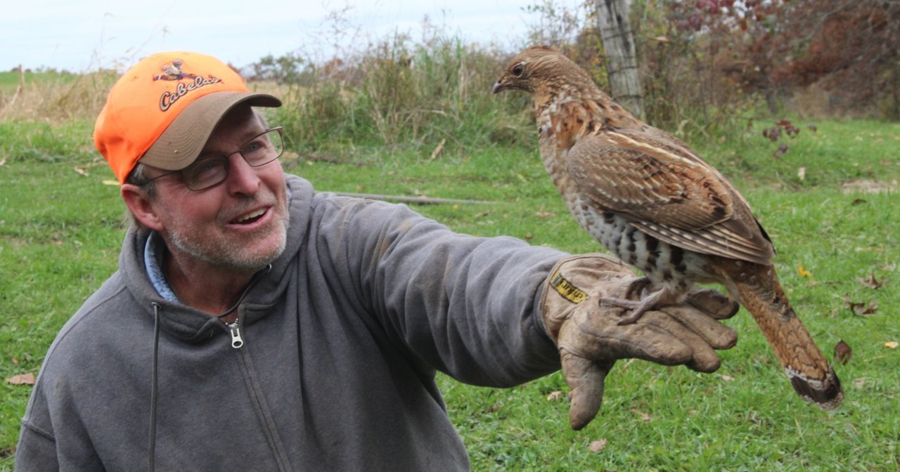 ruffed grouse1.jpg