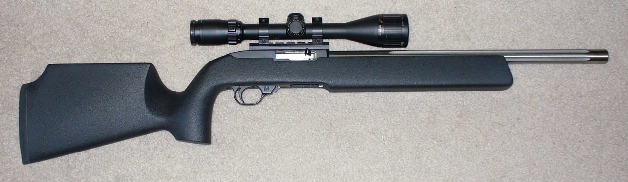 Ruger 10-22, after.jpg
