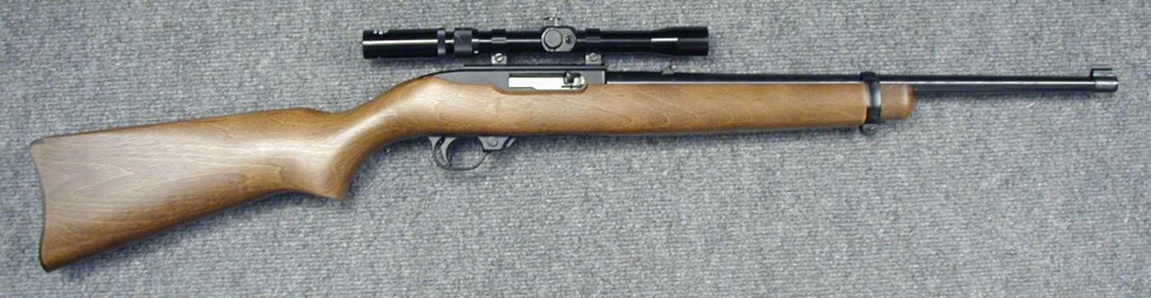 Ruger 10-22, before v01.jpg