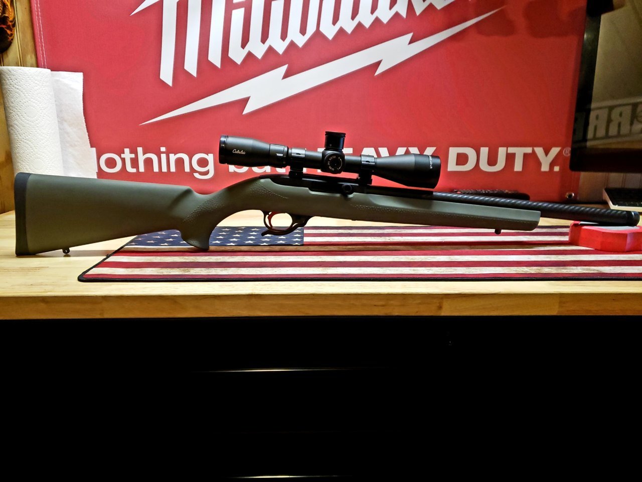 ruger22.jpg