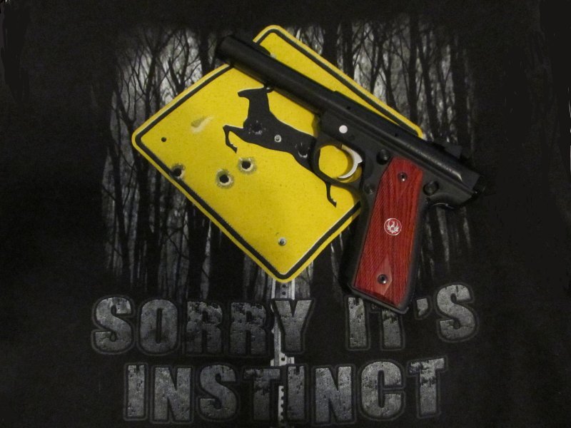 ruger2245_73531fe1eda72916796f52406fbd50cb310959aa.jpg