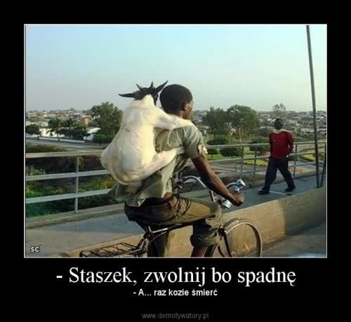 ruqqkk_10b230609240e24c8d2ac34635fffd00eb66ee11.jpg