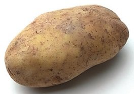 Russet_Potato.jpg