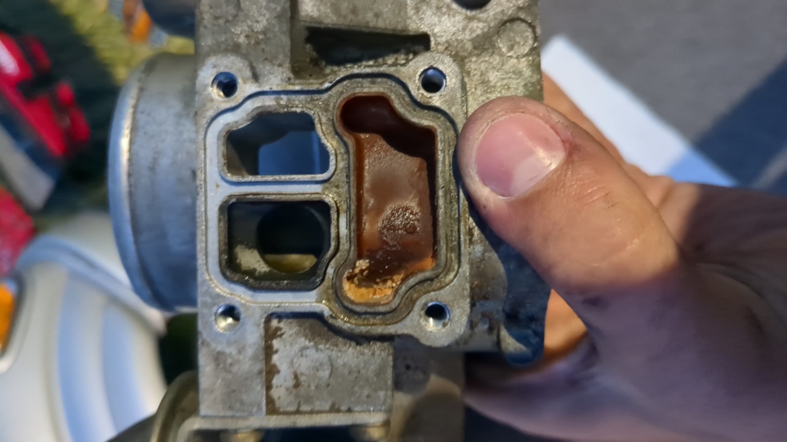 rustyiacintake.jpg