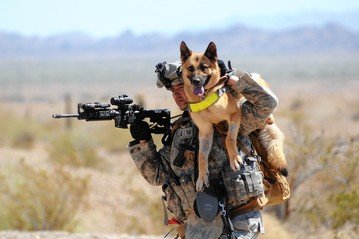 RV-AG082_DOGS_E_20120224153103.jpg
