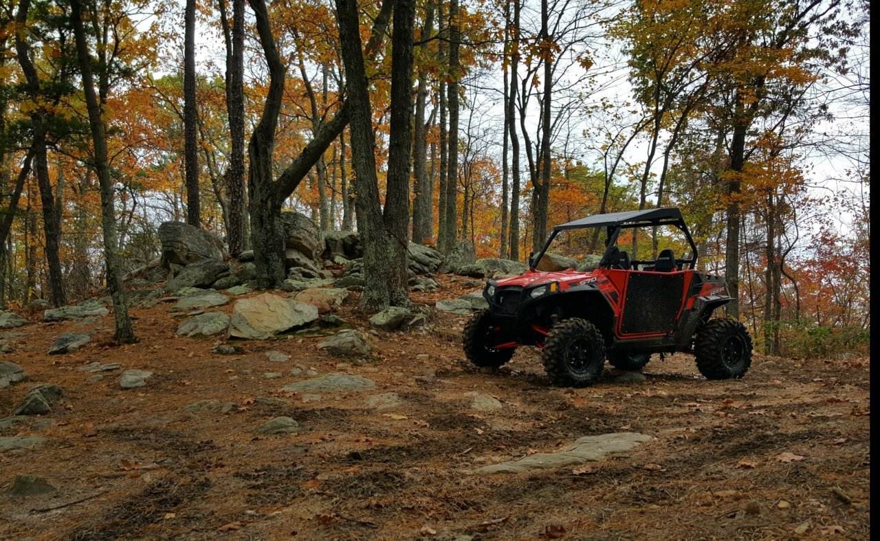 rzr.jpg