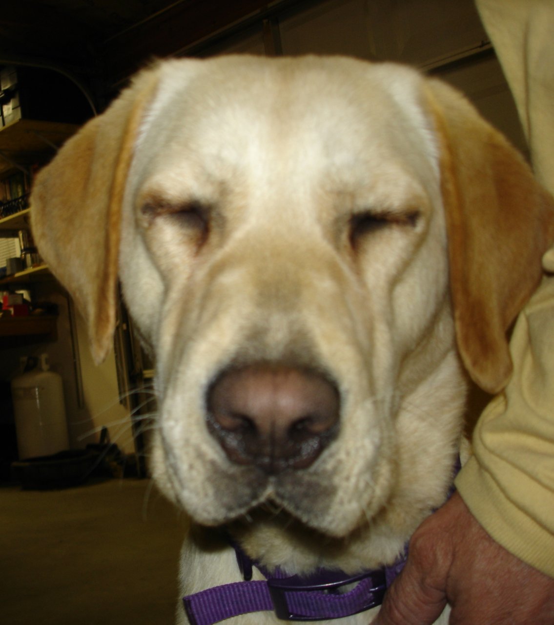 S.I.R. 2008 & SuperTop 073.jpg