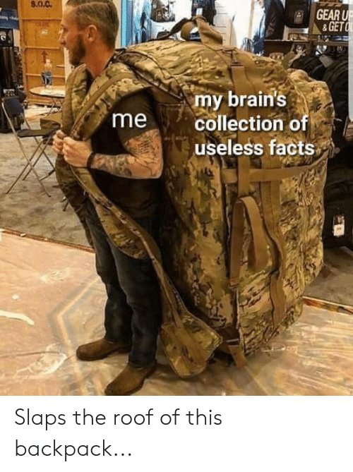 s-o-c-gear-u-get-my-brains-collection-of-useless-facts-64547577.jpg