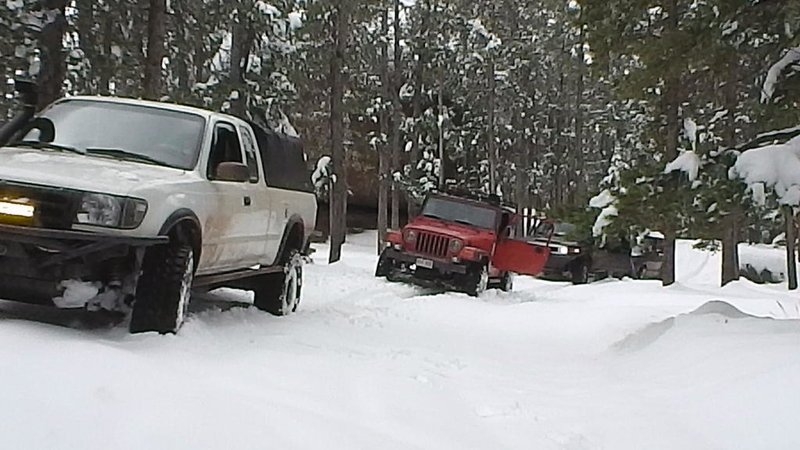 S1020026.jpg