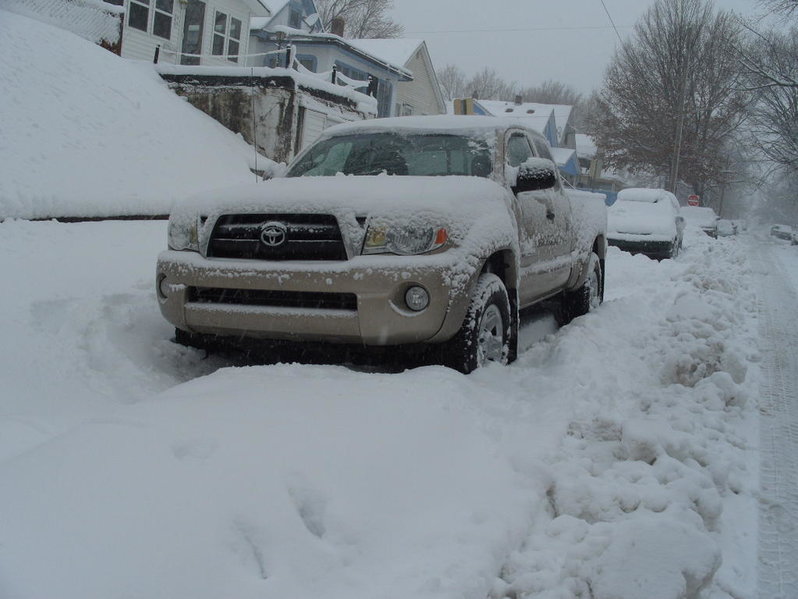 S1050296.jpg