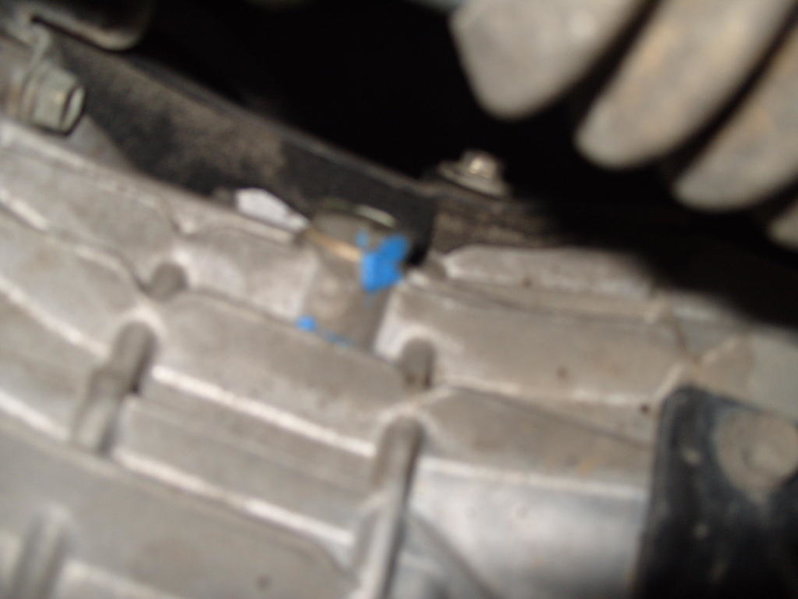 S1050394.jpg
