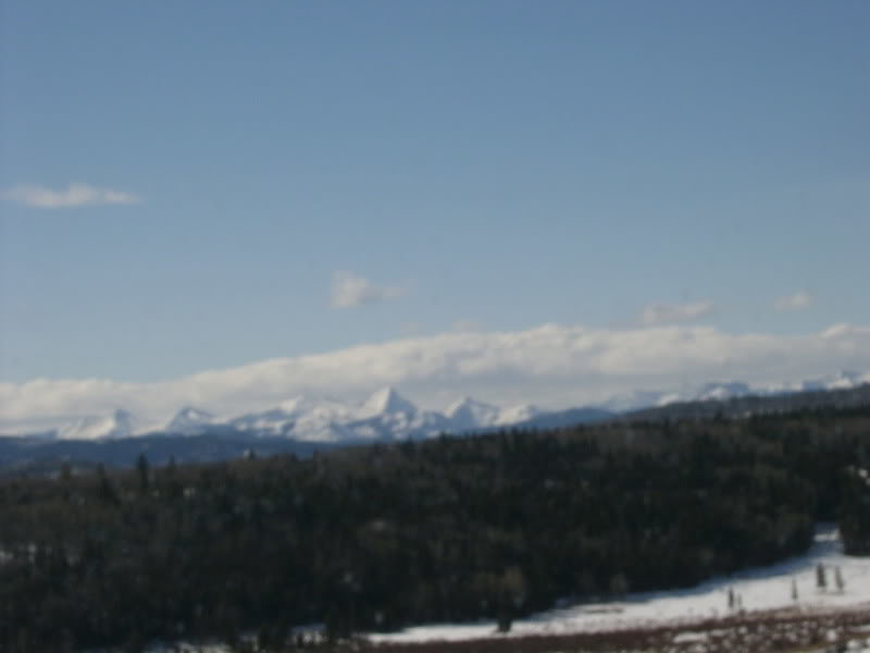 S3600009_92a183483e4918c5b4475ce64e45b80d9f1455a7.jpg