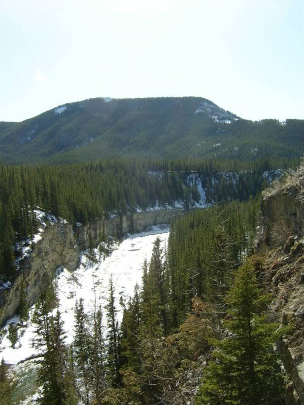 S3600018-3_5317d0a0f3ce40ca32548998bfcb0c88e3d2e416.jpg
