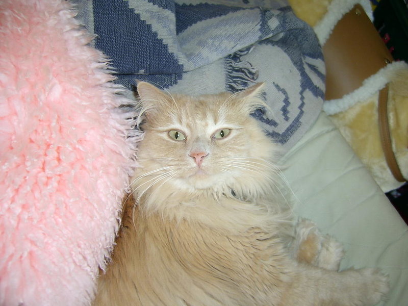 S3600018.jpg