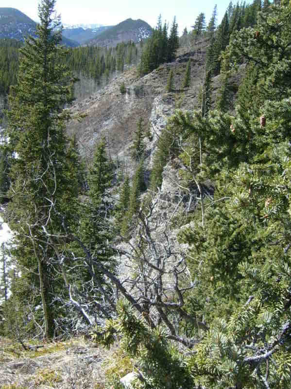 S3600021-1_c7c4b91b0ff1fa8be0eb979b9518d4d7c2e6e636.jpg