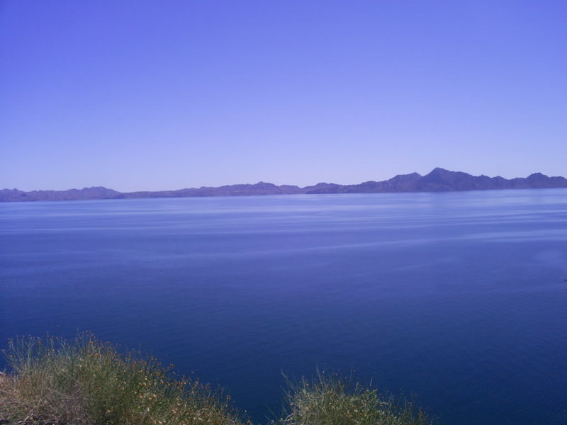 S4022380.jpg