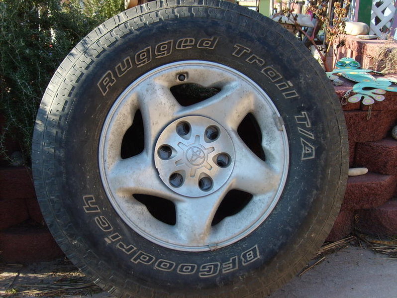 S5003558.jpg
