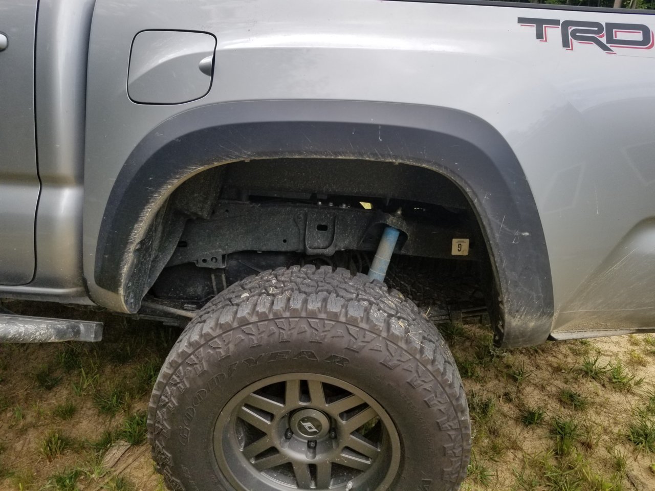 S6 rear close up.jpg