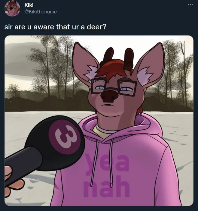 Sa7L2Kl.jpg