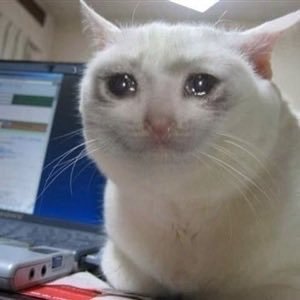 Sad-cat-tears-meme-7.jpg
